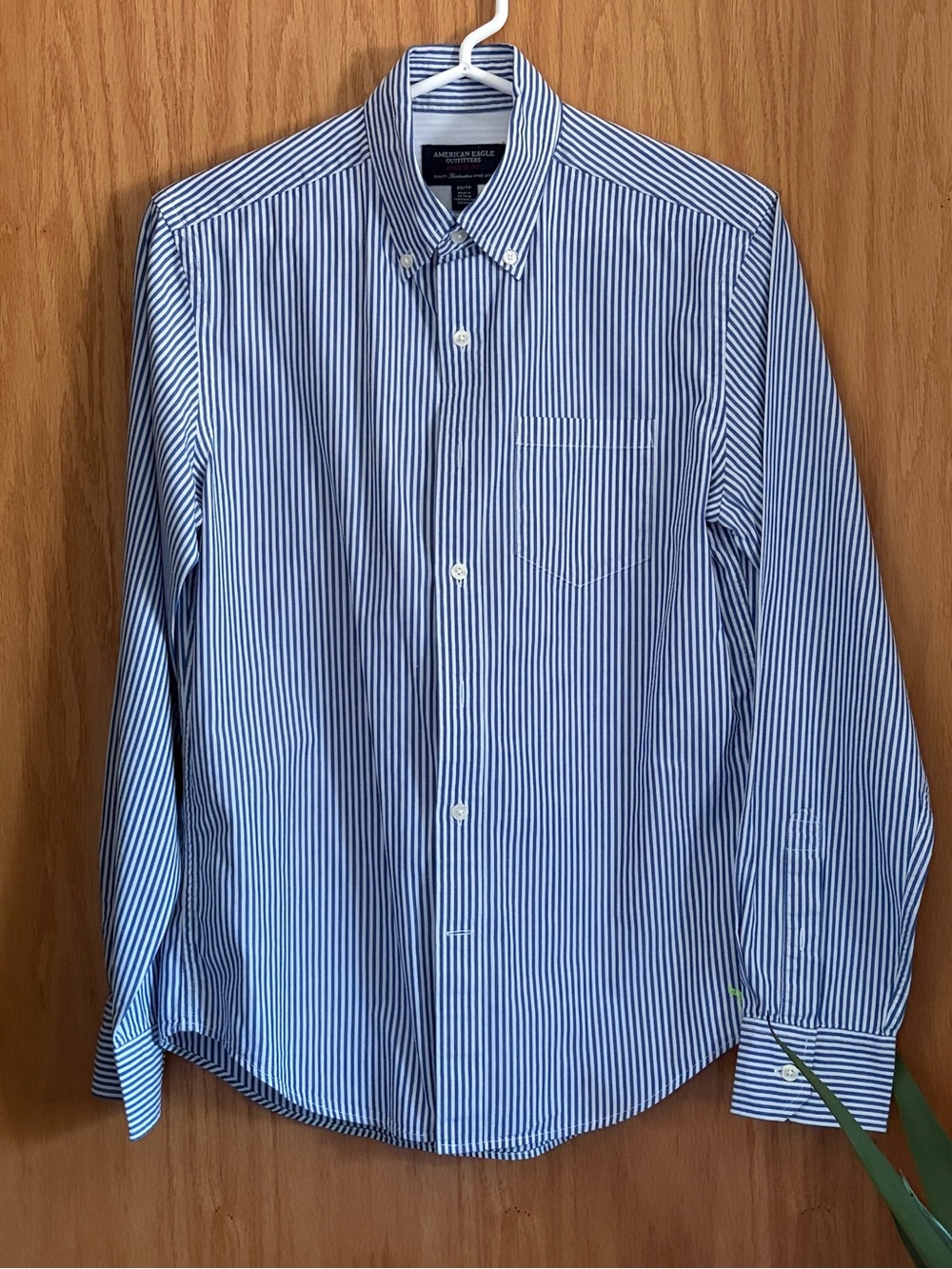 American Eagle Outfitters Blue and White Striped Button-Down Shirt